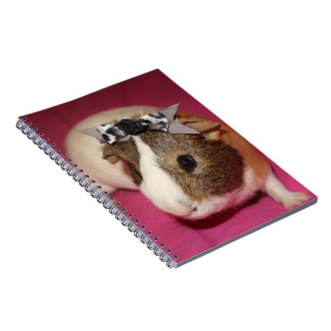 Guinea Pig With Bow 2 Notebook (Right Side)