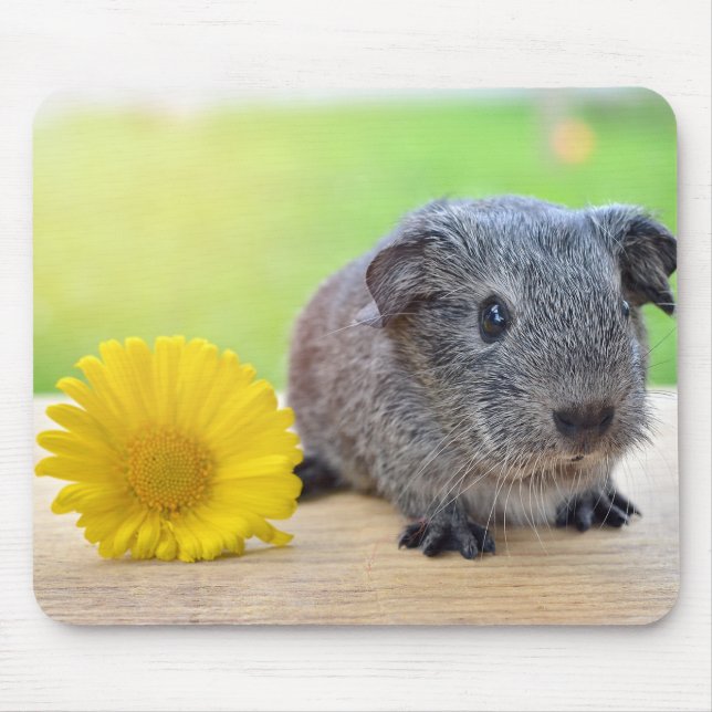 Guinea Pig with Flower Mouse Pad (Front)