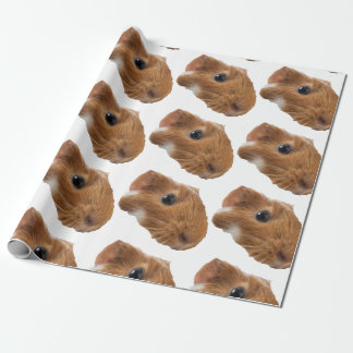 guinea pig wrapping paper