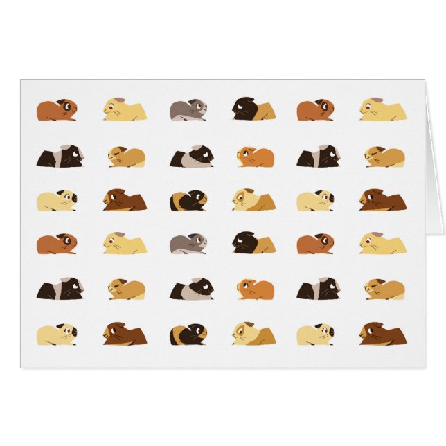Guinea pigs (Front Horizontal)