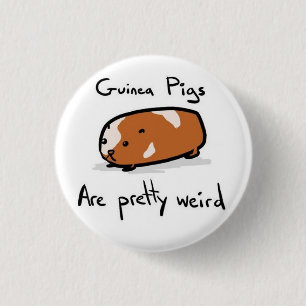 Guinea Pigs 3 Cm Round Badge