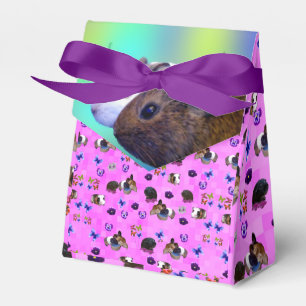 Guinea Pigs And Butterflies Pattern, Favour Box