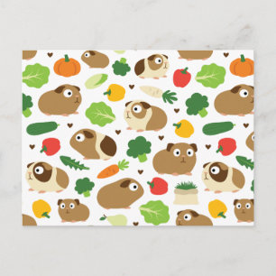 Guinea Pigs And Their Treats Postcard