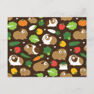 Guinea Pigs And Their Treats Postcard
