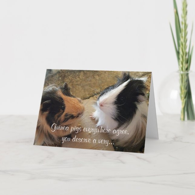 Guinea Pigs Birthday Card (Front)