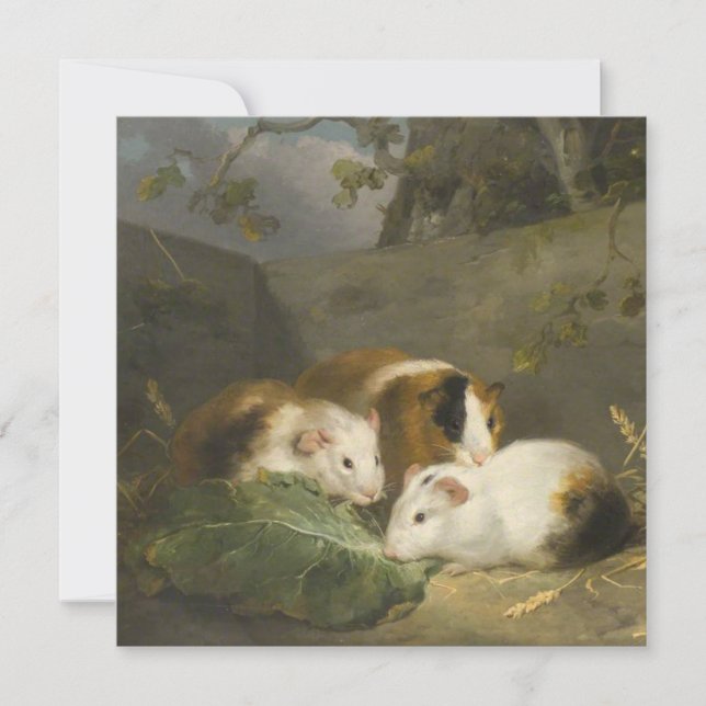 Guinea Pigs (by George Morland) Card (Front)