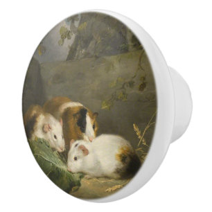 Guinea Pigs (by George Morland) Ceramic Knob