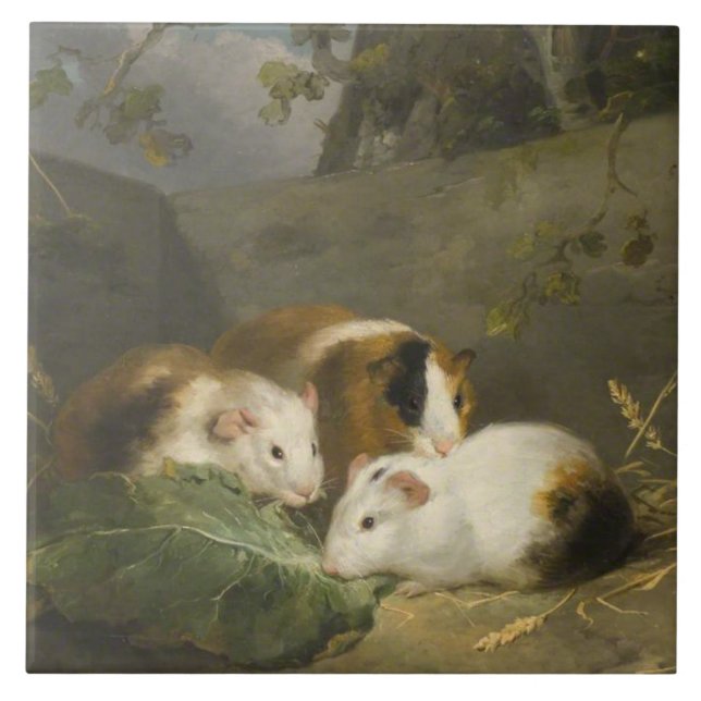 Guinea Pigs (by George Morland) Ceramic Tile (Front)