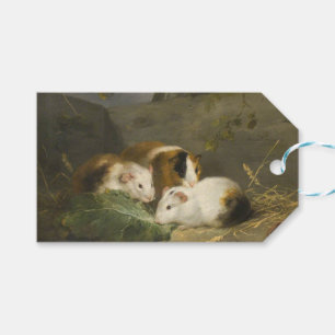 Guinea Pigs (by George Morland) Gift Tags