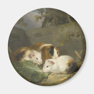 Guinea Pigs (by George Morland) Magnet