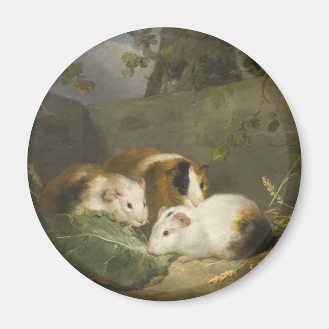 Guinea Pigs (by George Morland) Magnet (Front)