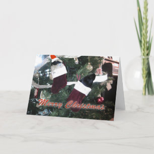 Guinea Pigs Christmas Holiday Card