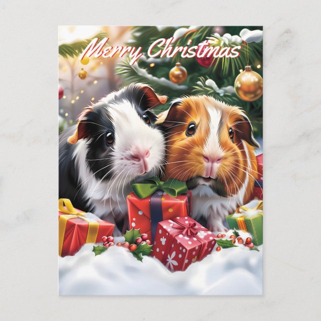 Guinea Pigs Christmas Holiday Postcard (Front)