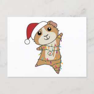 Guinea Pigs Christmas Winter Animals Postcard