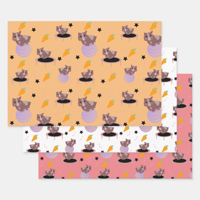 Guinea Pigs Fitness Gym Wrapping Paper Sheet (Set)