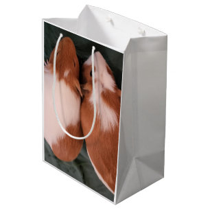 Guinea pigs gift bag