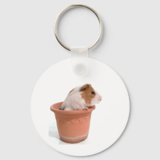 guinea pigs in a flowerpot key ring