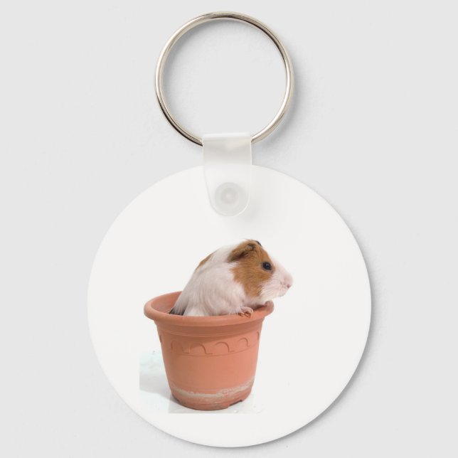 guinea pigs in a flowerpot key ring (Front)