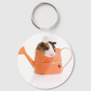 guinea pigs in a watering can key ring