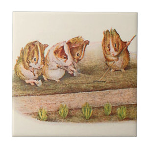 Guinea Pigs in the Garden Alternate Tile