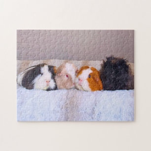 Guinea Pigs  Jigsaw Puzzle