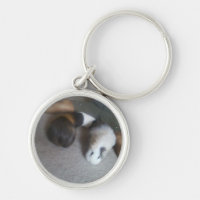 Guinea Pigs Keychain