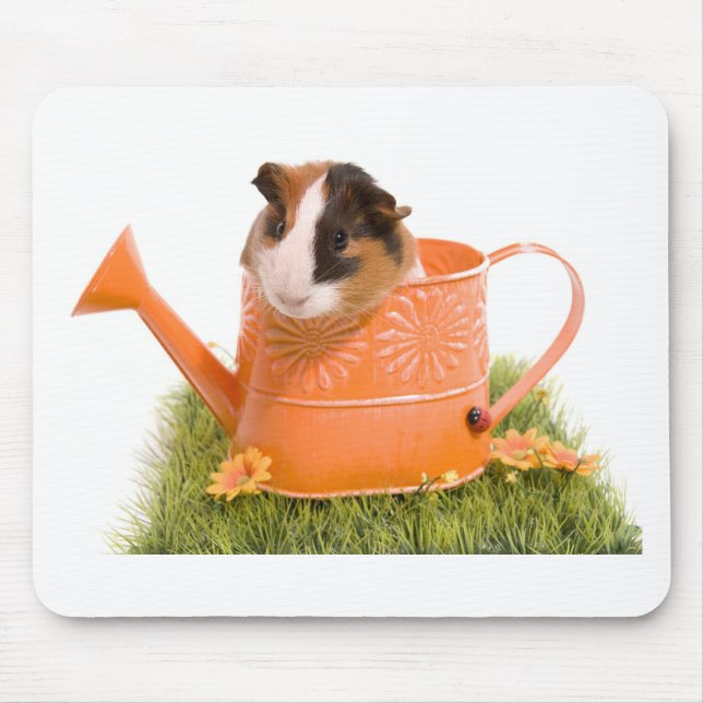 guinea pigs on a lawn mouse pad (Front)