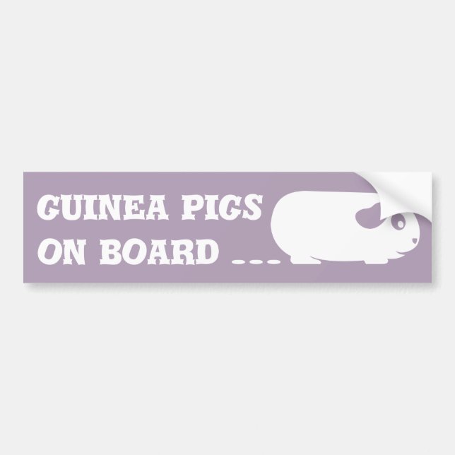 'Guinea Pigs on Board' Bumper Sticker (Front)
