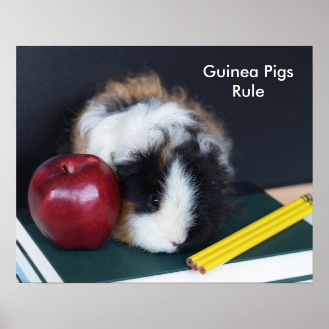 Guinea Pigs Rule Poster (Front)