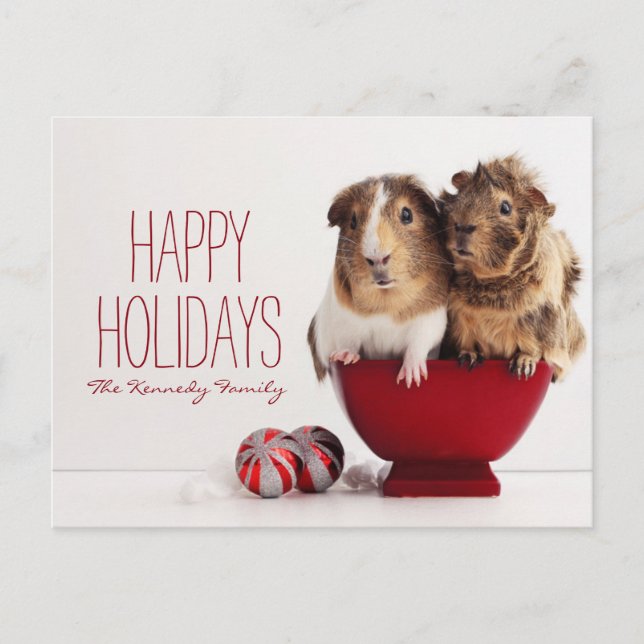 Guinea pigs with Christmas ball Holiday Postcard (Front)
