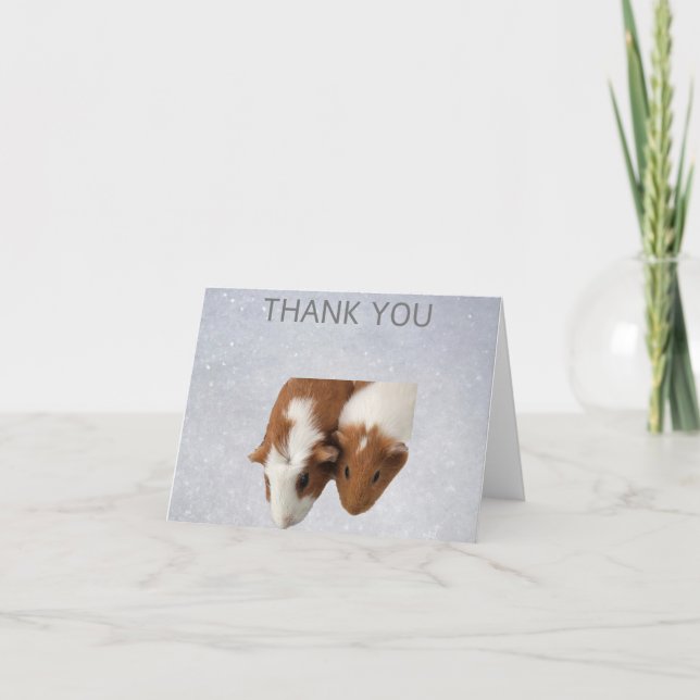 Guinea pigs with snowy background Thank You Card (Front)