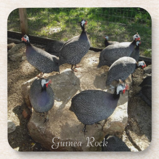 Guinea Rock Coaster Set