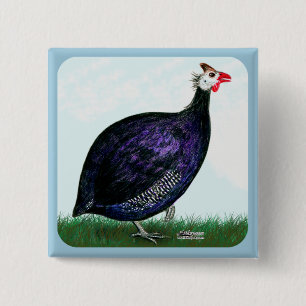Guinea Royal Purple and Sky 15 Cm Square Badge