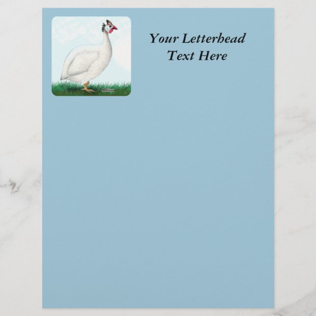 Guinea White (Front)