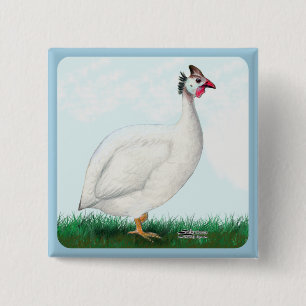 Guinea White 15 Cm Square Badge