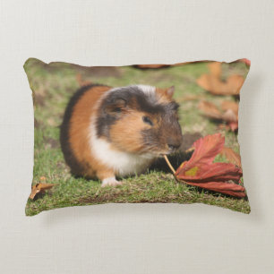 GuineaPig_20181001_by_JAMFoto Decorative Cushion