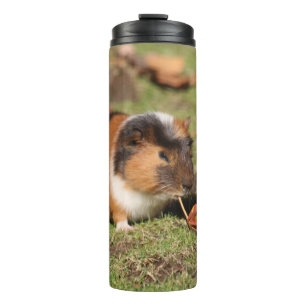 GuineaPig_20181001_by_JAMFoto Thermal Tumbler