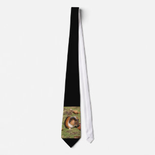 GuineaPig_20181001_by_JAMFoto Tie