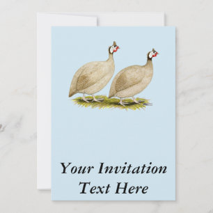 Guineas Buff Dundotte Fowl Invitation