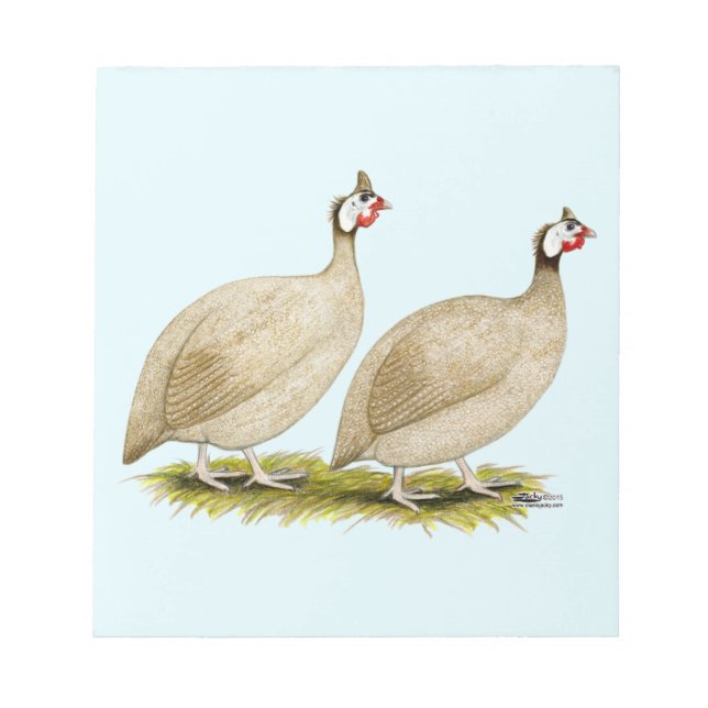 Guineas Buff Dundotte Fowl Notepad (Front)