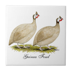 Guineas Buff Dundotte Fowl Tile