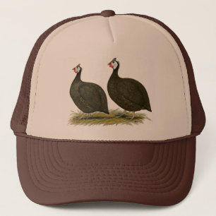 Guineas: Chocolate Trucker Hat