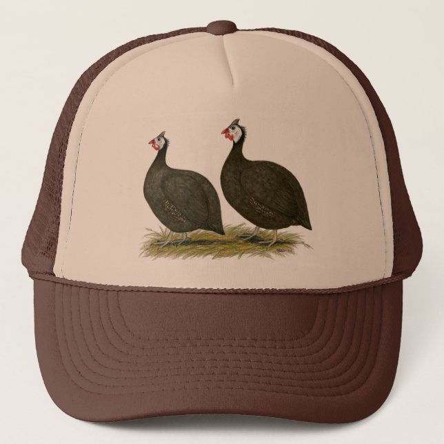Guineas:  Chocolate Trucker Hat (Front)