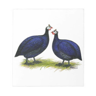 Guineas Royal Purple Pair Notepad