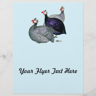 Guineas Three