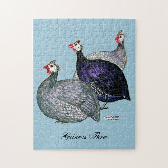 Guineas Three Jigsaw Puzzle (Vertical)