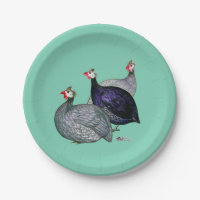Guineas Three
