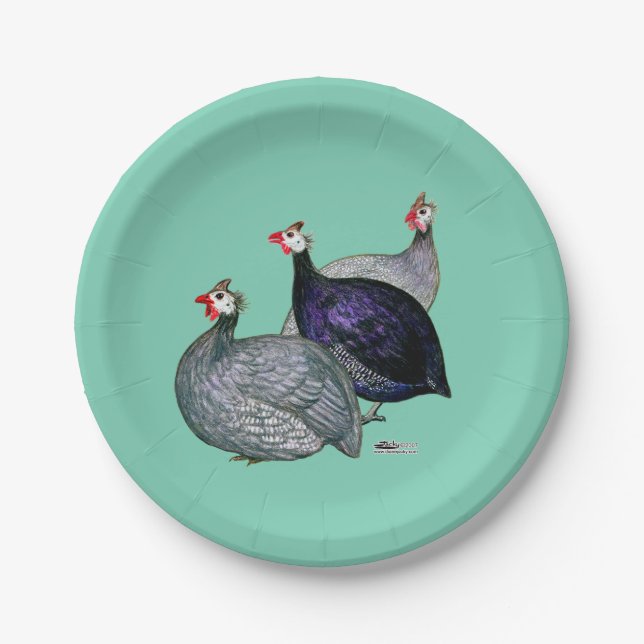 Guineas Three Paper Plate (Front)