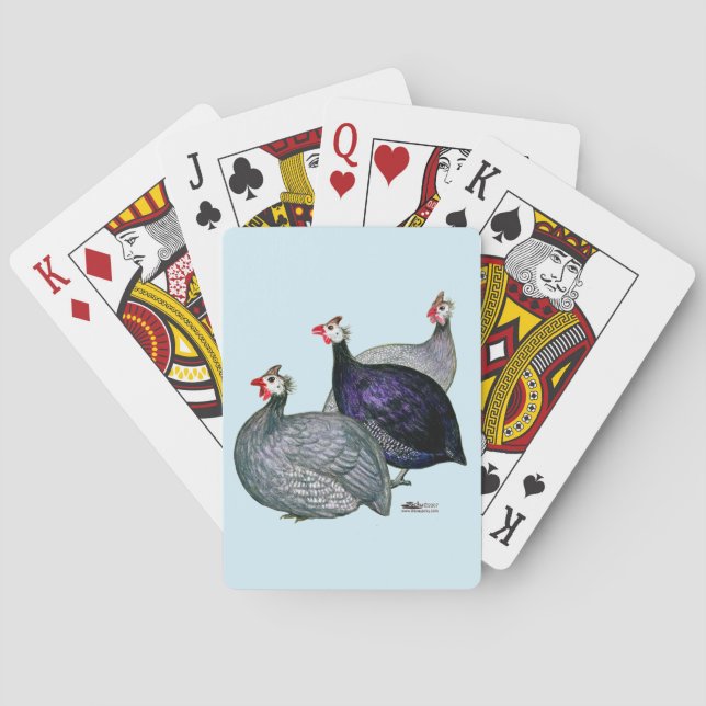 Guineas Three Playing Cards (Back)
