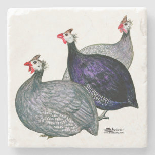 Guineas Three Stone Coaster